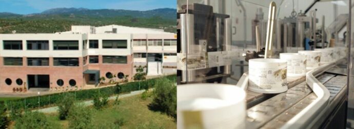 Από το χωριό, στην αυτοκρατορία 7 εργοστασίων: Η ελληνική εταιρεία που κατακτά 60 χώρες με τα.. ντολμαδάκια της
