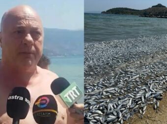 Μπeος: Έβαλε αυτό το κίτρινο μαγιό, βούτηξε στα νερά του Βόλου μετά τη καταστροφή και βγήκε έτσι από τη θάλασσα
