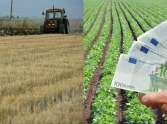 Καλλιεργήστε το και θα γίνετε… πλούσιοι: Αυτό το φυτό αποφέρει κέρδη 25.000 ευρώ ανά στρέμμα