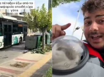 Νέο περιστατικό με οδηγό λεωφορείου: Έβρισε χυδαία και πέταξε εκτός παιδί που μετέφερε με ειδικό σακίδιο την γάτα του