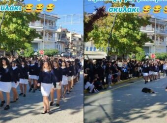 Αριδαία: Υπναράς σκυλάκος δε χαλάει τη ρουτίνα του και κοιμάται όταν κάνουν παρέλαση δίπλα του (video)