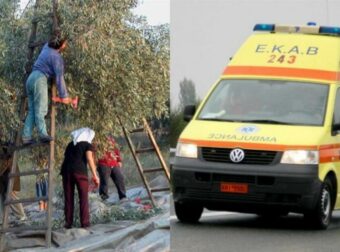 Σοκ: Νεκρός 48χρονος την ώρα που ράβδιζε ελιές στο χωράφι – Ειχε τον πιο τραγικό θάνατο από ηλεκτροπληξία με το ελαιοραβδιστικό