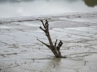 Χωρίς χιόνι ο Όλυμπος και ποταμοί δίχως νερό – Εξαφανίστηκε η τρούφα από την Πιερία (video)