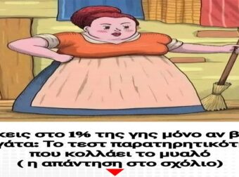 Βρες τη γάτα που ξεγελούν όλους: Είσαι στο 1% που μπορεί; Το απόλυτο τεστ παρατηρητικότητας!
