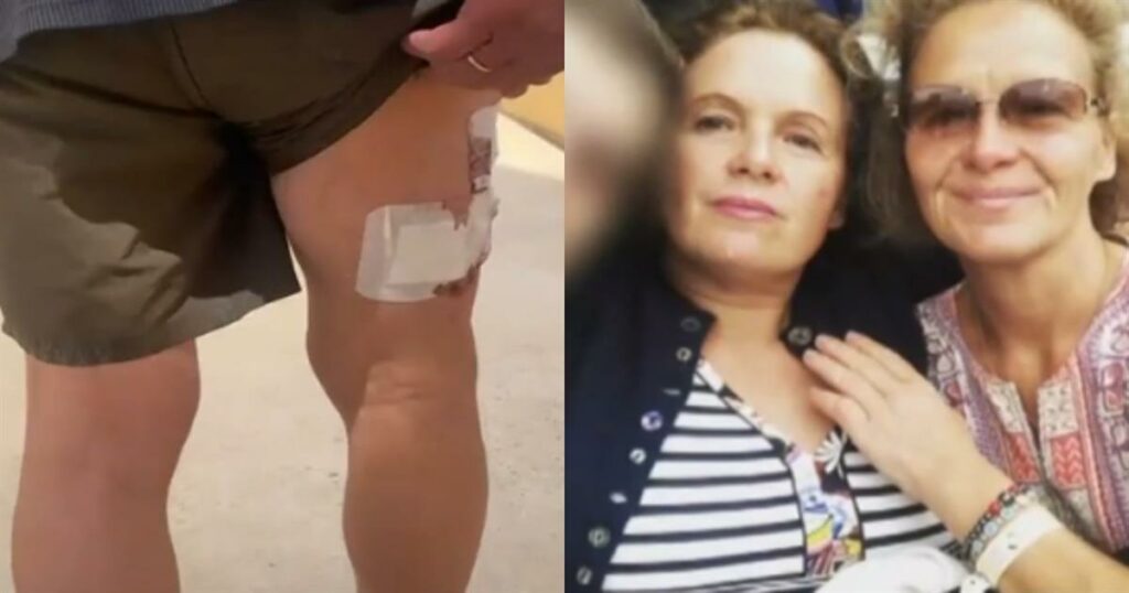 Οικογένεια Τσιτσιπά: Αντιμέτωπη με την επίθεση του σκύλου – Η ασυνήθιστη ιστορία των δίδυμων αδερφών και ο μοναδικός μάρτυρας.