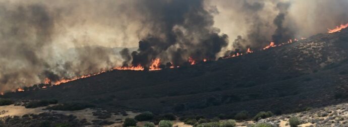 Καταστροφική φωτιά στην Παλαιά Φώκαια: Άμεση εκκένωση από το 112 – Διάσωση ηλικιωμένων και παιδιών.