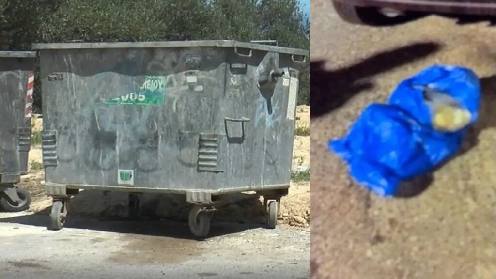 «Συγκλονιστική ιστορία: Από συμμαθήτριες σε ζευγάρι – Η απίστευτη εξέλιξη που οδήγησε στην εγκατάλειψη βρέφους»
