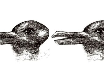 “Οπτική Πρόκληση: Εσείς τι Αναγνωρίζετε πρώτα – Πάπια ή Κουνέλι;”