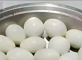 Πόσα αυγά μπορείτε να μετρήσετε σε αυτή την εικόνα;