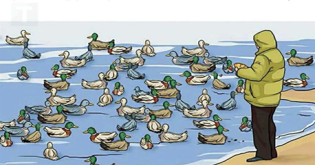 Αν μπορείτε να βρείτε το λάθος σε αυτή τη φωτογραφία, η ευφυΐα σας θα σας καταπλήξει!