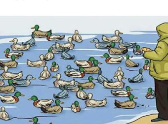 Αν μπορείτε να βρείτε το λάθος σε αυτή τη φωτογραφία, η ευφυΐα σας θα σας καταπλήξει!