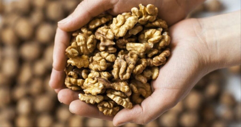 Νέα ανακάλυψη: Τα καρύδια και οι απρόσμενες επιπτώσεις στην υγεία μας!