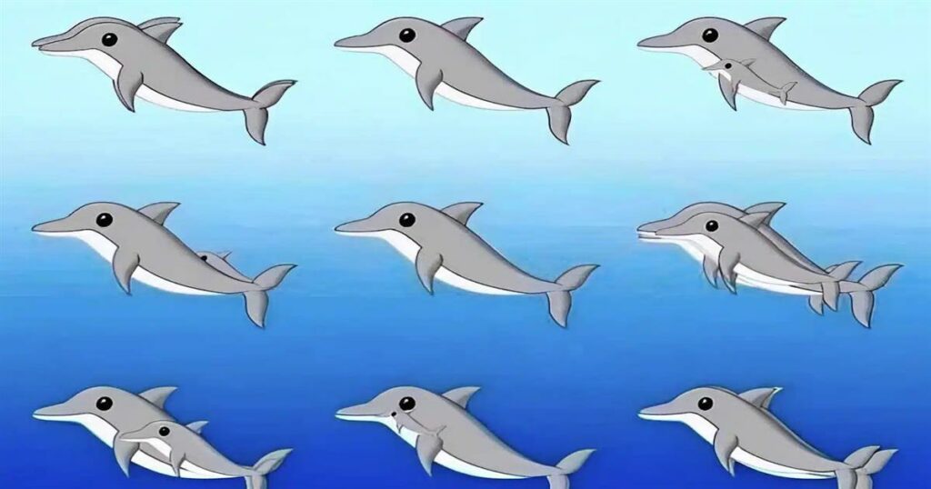 Μπορείς να μετρήσεις πόσα δελφίνια κρύβονται σε αυτή την εικόνα;