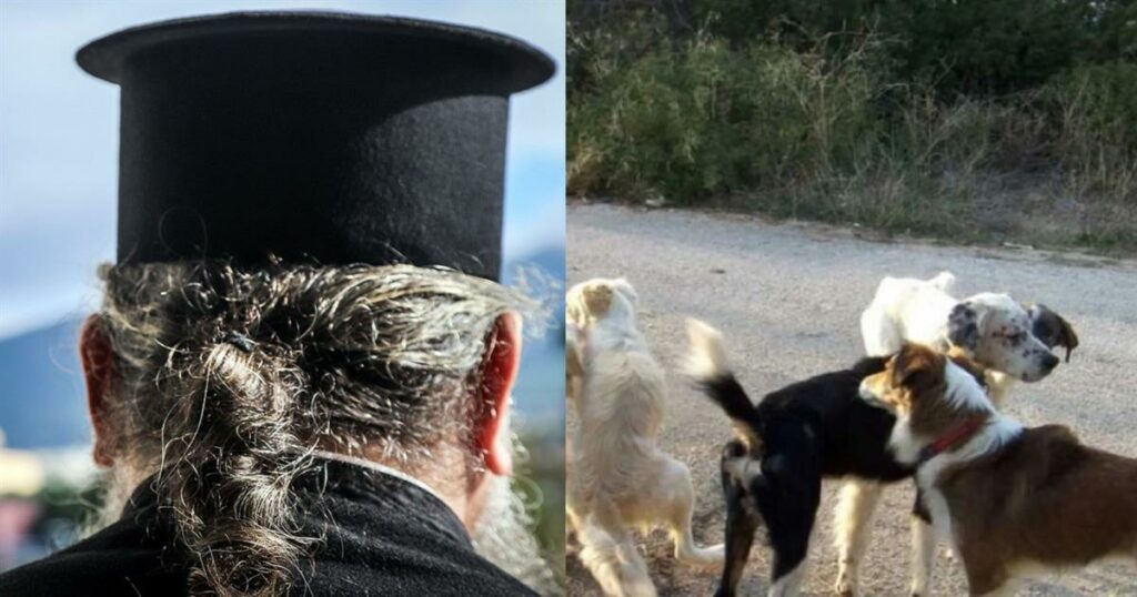 Επικίνδυνο περιστατικό στο Αγρίνιο: Ιερέας δέχθηκε επίθεση από αδέσποτους σκύλους και μεταφέρθηκε εσπευσμένα στο νοσοκομείο.