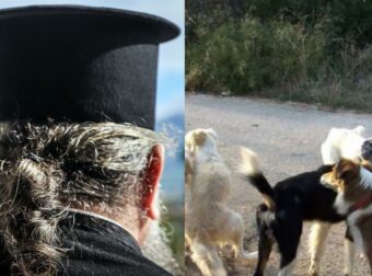 Επικίνδυνο περιστατικό στο Αγρίνιο: Ιερέας δέχθηκε επίθεση από αδέσποτους σκύλους και μεταφέρθηκε εσπευσμένα στο νοσοκομείο.