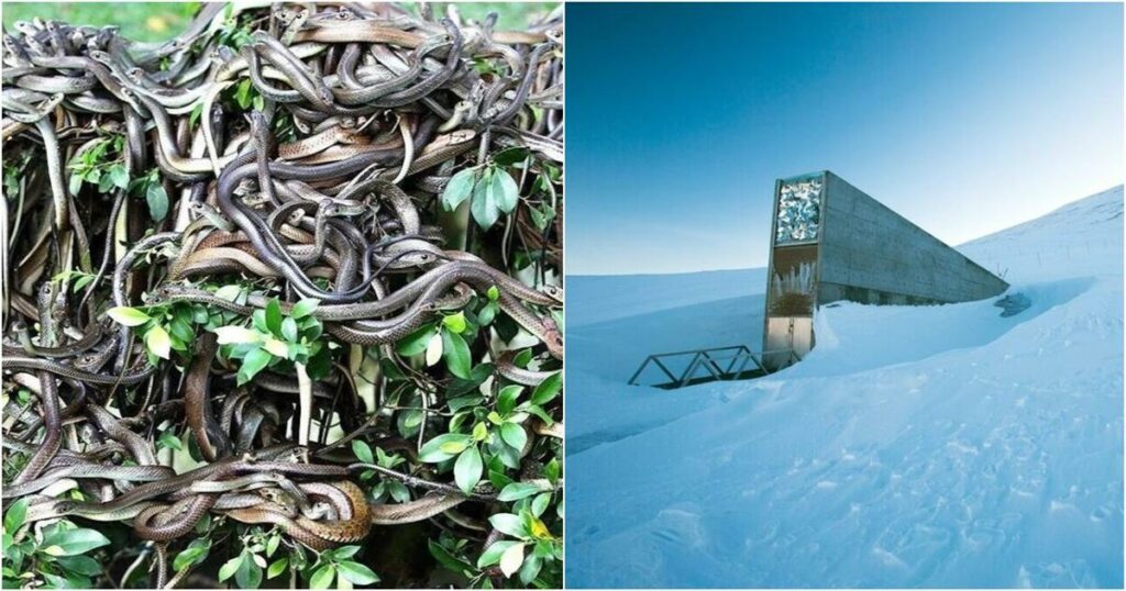 Απόκρυφες Τοποθεσίες του Κόσμου: Που Απαγορεύεται η Είσοδος σε Όλους Εκτός από το Στρατό!