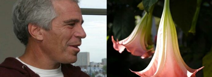 Τζέφρι Έπσταϊν: Πίσω από το «ναρκωτικό των ζόμπι» – Τα θανατηφόρα φυτά και οι ουσίες που παγίδευαν τα θύματα.