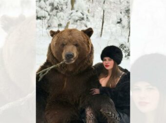 Ανατρεπτική τάση: Ποζάρουν με αρκούδες για τα πολυπόθητα likes! Ανακαλύψτε τι άλλο θα σκαρφιστούν.