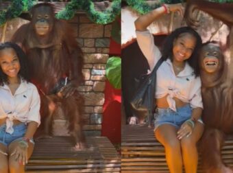 Ταϊλάνδη: Απαγορευτικές Πόζες με Εκπαιδευμένους Χιμπατζήδες στο Safari World – Μια Αντίθεση Ανάμεσα στη Φύση και τον Τουρισμό.