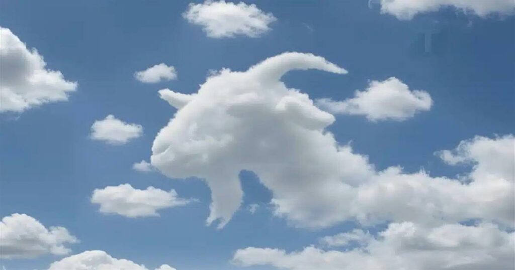 Ποιο ζώο αναγνωρίσατε πρώτο, χελώνα ή καμήλα; Ανακαλύψτε τι αποκαλύπτει αυτό για τον τρόπο σκέψης σας!