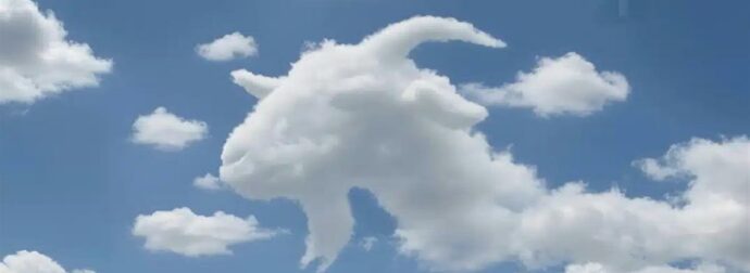 Ποιο ζώο αναγνωρίσατε πρώτο, χελώνα ή καμήλα; Ανακαλύψτε τι αποκαλύπτει αυτό για τον τρόπο σκέψης σας!