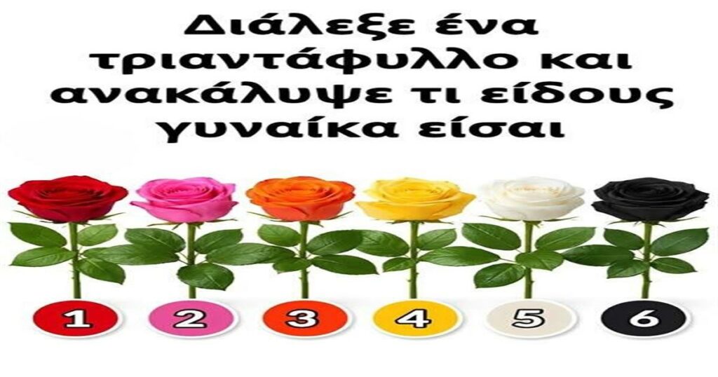 Επίλεξε το τριαντάφυλλο σου και ανακάλυψε την προσωπικότητά σου!
