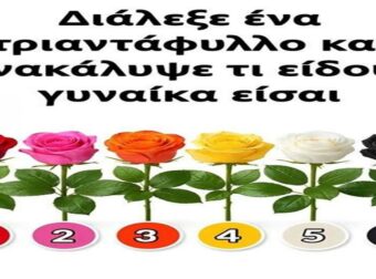 Επίλεξε το τριαντάφυλλο σου και ανακάλυψε την προσωπικότητά σου!