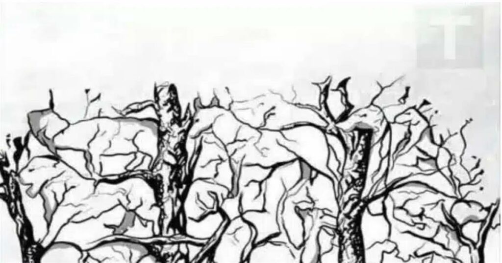 Ανακαλύψτε κάτι εκπληκτικό για την προσωπικότητά σας από το πρώτο ζώο που θα δείτε!