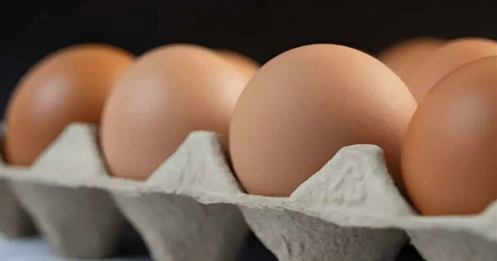 Αποκάλυψη: Τα αυγά-μυστήριο που κατακλύζουν την αγορά – Πώς οι καταναλωτές εξαπατώνται χωρίς να το καταλάβουν.