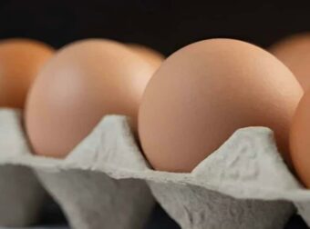 Αποκάλυψη: Τα αυγά-μυστήριο που κατακλύζουν την αγορά – Πώς οι καταναλωτές εξαπατώνται χωρίς να το καταλάβουν.