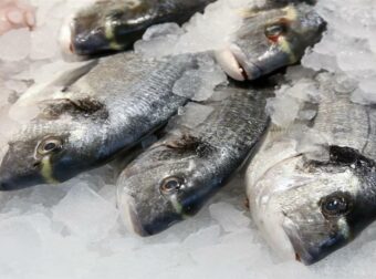 3 άμεσες και αποδοτικές μέθοδοι για να ξεπαγώσετε τα ψάρια σας!