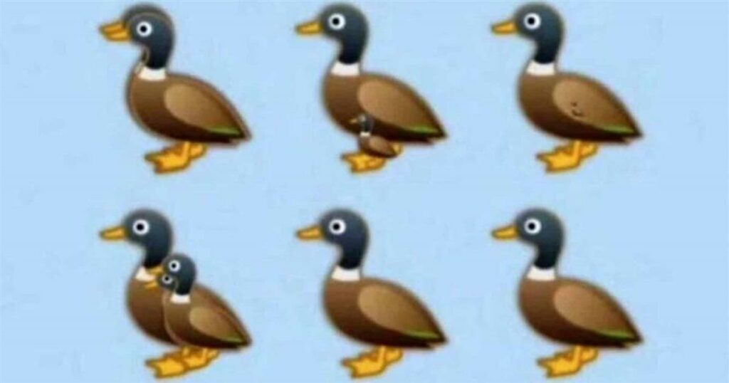 Ανακαλύψτε κάθε πάπια στην εικόνα: Η απόλυτη πρόκληση παρατηρητικότητας που λίγοι καταφέρνουν να περάσουν επιτυχώς.