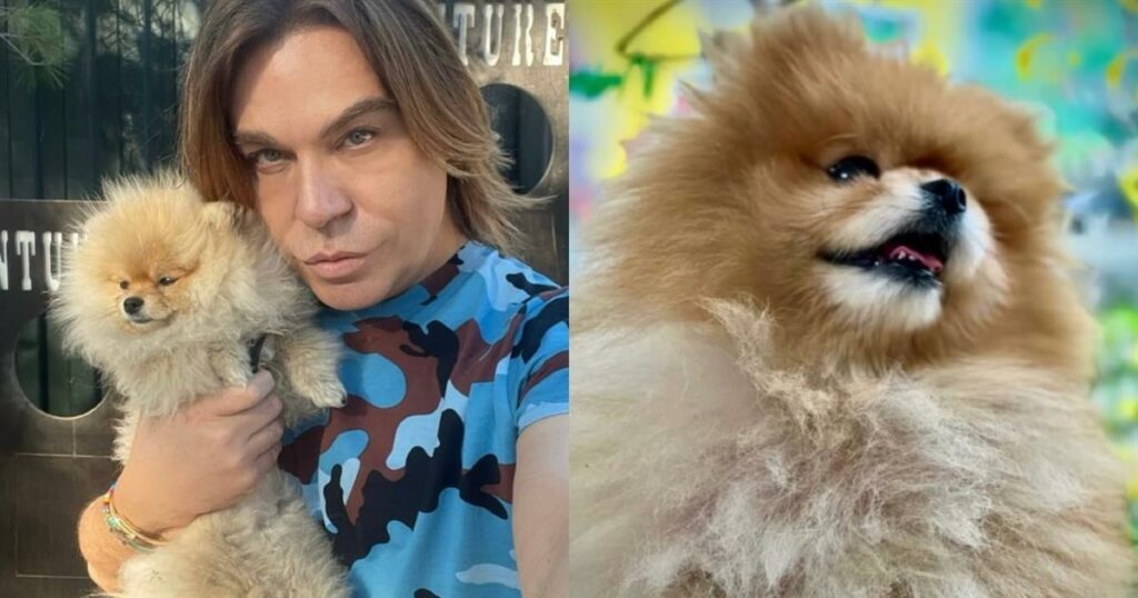 Απώλεια Ανείπωτη: Η Συγκινητική Δήλωση του Τρύφωνα Σαμαρά για τον Χαμό της Αγαπημένης του Σκυλίτσας – «Άγγελέ μου»