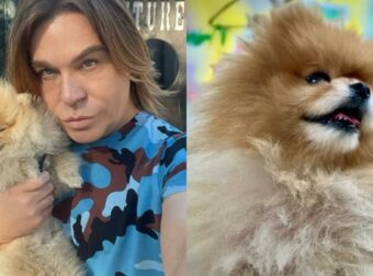 Απώλεια Ανείπωτη: Η Συγκινητική Δήλωση του Τρύφωνα Σαμαρά για τον Χαμό της Αγαπημένης του Σκυλίτσας – «Άγγελέ μου»