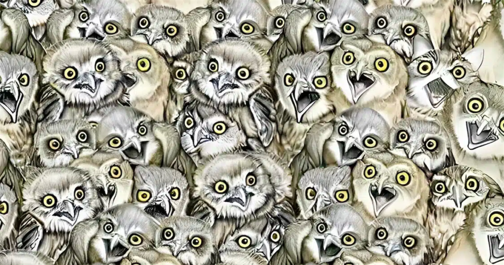 Ανακάλυψε τη γάτα ανάμεσα στις κουκουβάγιες: Το απόλυτο τεστ παρατηρητικότητας για τους τολμηρούς!