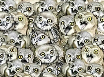 Ανακάλυψε τη γάτα ανάμεσα στις κουκουβάγιες: Το απόλυτο τεστ παρατηρητικότητας για τους τολμηρούς!