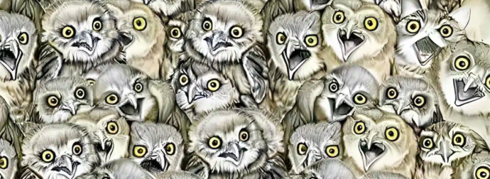 Ανακάλυψε τη γάτα ανάμεσα στις κουκουβάγιες: Το απόλυτο τεστ παρατηρητικότητας για τους τολμηρούς!