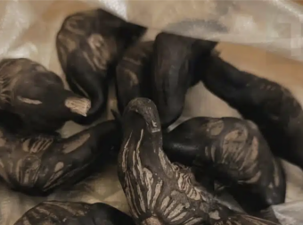 Ο γείτονας με εξέπληξε με μια σακούλα: Μπορείτε να μαντέψετε τι περιέχει;