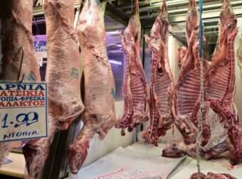 Πάσχα 2023: ΠΑΣΟΚ vs ΝΔ – Ανακαλύψτε τις Διαφορές μέσα από Αποκαλυπτικές Απαντήσεις!