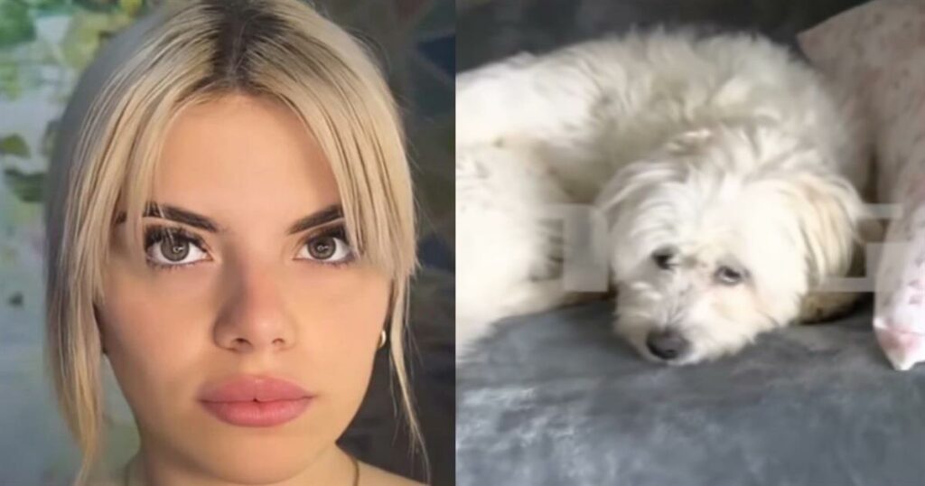 Κεφαλονιά: Συγκλονιστικά πλάνα από την κάμερα στο δωμάτιο της Μυρτούς (Βίντεο)