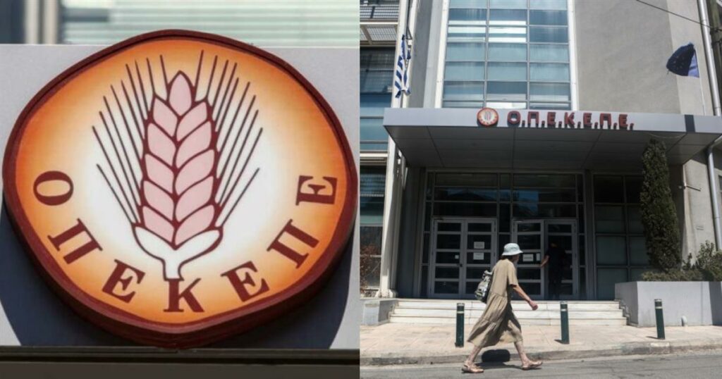 Νέα ευκαιρία καριέρας στον ΟΠΕΚΕΠΕ: Ανακάλυψε τις διαθέσιμες θέσεις διευθυντών και τα απαραίτητα προσόντα!