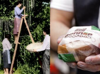 Πρωταπριλιά: Από το φημισμένο μακαρονόδεντρο μέχρι το μπέργκερ για αριστερόχειρες – Οι πιο απίστευτες φάρσες όλων των εποχών!