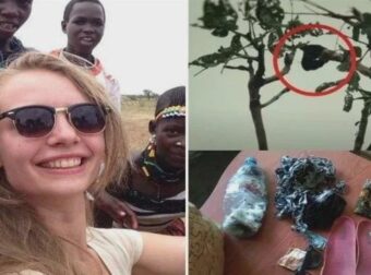 Μυστήριο γύρω από την εξαφάνιση της 21χρονης Ολλανδής: Πώς το ανδρικό DNA αποκλείει την επίθεση από ζώα.