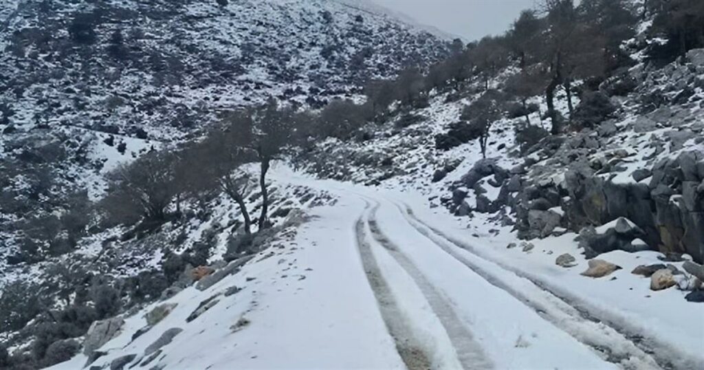 Επικίνδυνη Αρκτική κακοκαιρία: Απειλή παγετού και ζημιές στην ελληνική αγροτική παραγωγή!