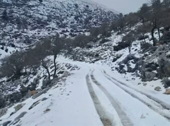 Επικίνδυνη Αρκτική κακοκαιρία: Απειλή παγετού και ζημιές στην ελληνική αγροτική παραγωγή!