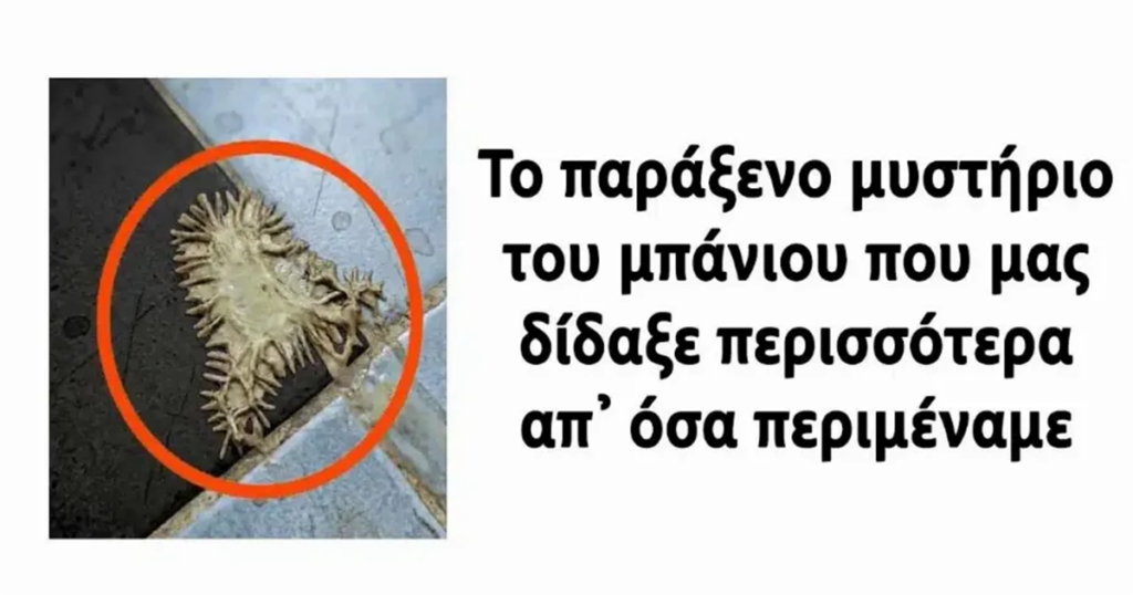 Η συναρπαστική ανακάλυψη στο μπάνιο που μας έδωσε απρόσμενα μαθήματα.