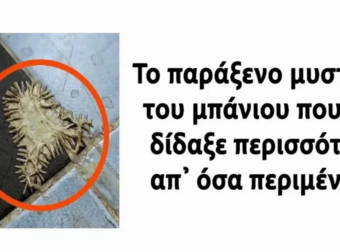 Η συναρπαστική ανακάλυψη στο μπάνιο που μας έδωσε απρόσμενα μαθήματα.