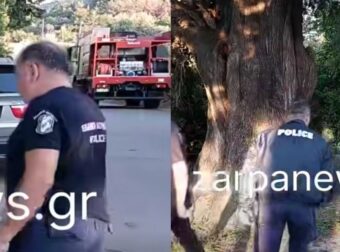 Σοκαριστική Ανακάλυψη στην Κρήτη: Εντοπίστηκε Ανθρώπινος Σκελετός – Ενδεχόμενη Σχέση με την Εξαφάνιση Νεαρού Γιατρού (βίντεο)