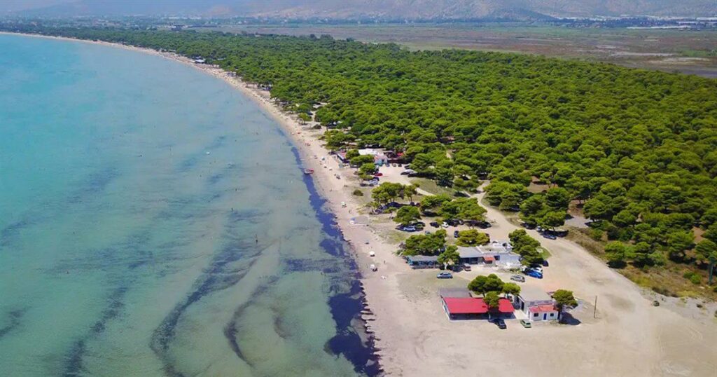 Απόδραση σε μια μέρα: Ανακαλύψτε τις παραλίες κοντά στην Αθήνα που θυμίζουν νησί!