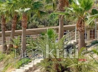 ΕΚΤΑΚΤΟ: Δυστυχώς δεν τα κατάφερε – Πέθανε στο νοσοκομείο πριν λίγο